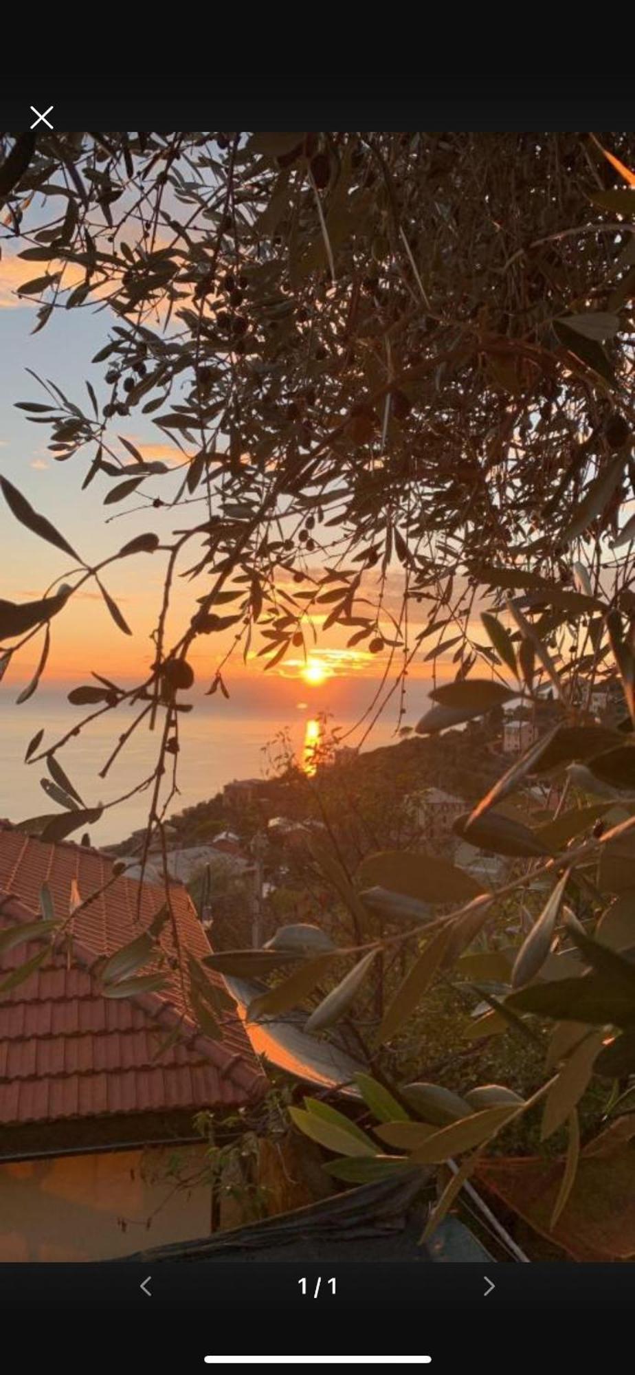 Il Gabbiano Di Pieve Bed & Breakfast Pieve Ligure Exterior photo