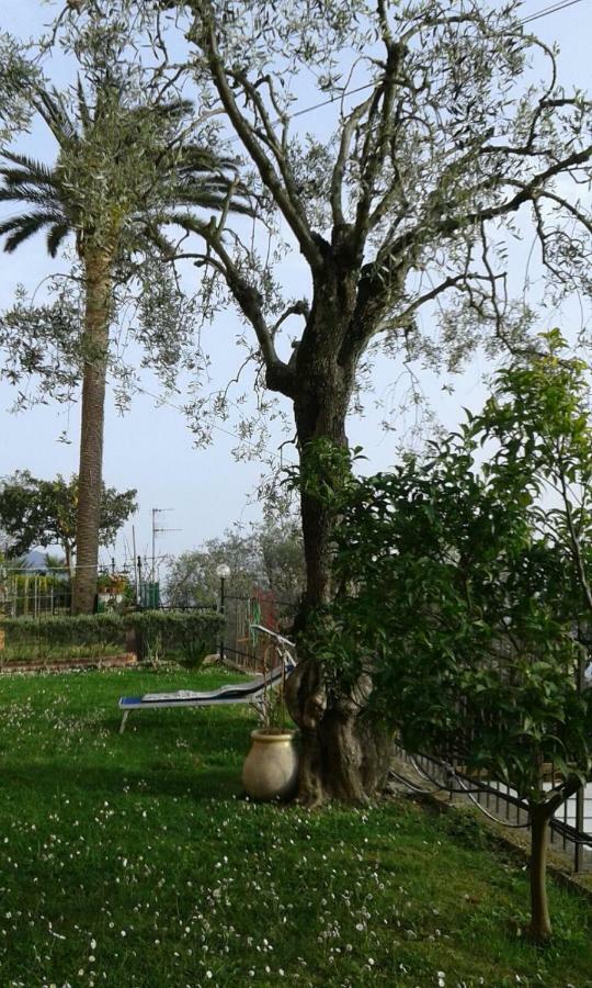 Il Gabbiano Di Pieve Bed & Breakfast Pieve Ligure Exterior photo